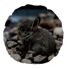 Small Baby Bunny Large 18  Premium Flano Round Cushions by trendistuff