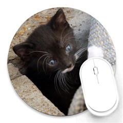 Pretty Blue-eyed Kitty Round Mousepads by trendistuff