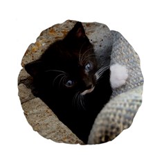 Pretty Blue-eyed Kitty Standard 15  Premium Flano Round Cushions by trendistuff