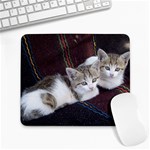 KITTY TWINS Large Mousepads Front