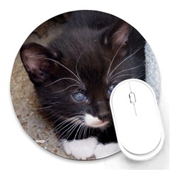 Kitty In A Corner Round Mousepads by trendistuff