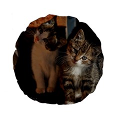 Cute Kitties Standard 15  Premium Flano Round Cushions by trendistuff