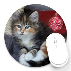 Comfy Kitty Round Mousepads by trendistuff