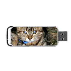 Blue-eyed Kitty Portable Usb Flash (two Sides) by trendistuff