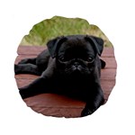 ALERT PUG PUPPY Standard 15  Premium Round Cushions Front