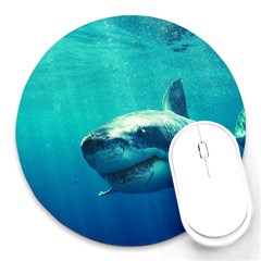 Great White Shark 1 Round Mousepads by trendistuff