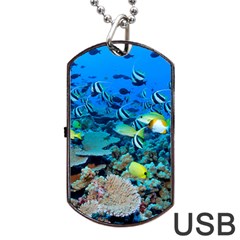 Fr Frigate Shoals Dog Tag Usb Flash (one Side) by trendistuff