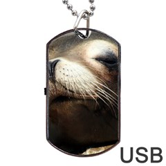 Cute Sea Lion Dog Tag Usb Flash (one Side) by trendistuff