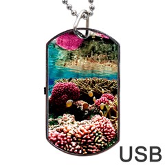 Coral Reefs 1 Dog Tag Usb Flash (one Side) by trendistuff