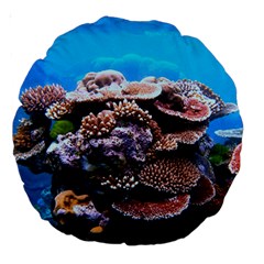 Coral Outcrop 2 Large 18  Premium Round Cushions by trendistuff