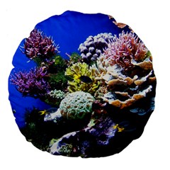 Coral Outcrop 1 Large 18  Premium Flano Round Cushions by trendistuff