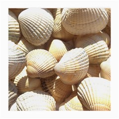 Tropical Exotic Sea Shells Medium Glasses Cloth by yoursparklingshop