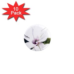 White Magnolia Pencil Drawing Art 1  Mini Magnet (10 Pack)  by picsaspassion