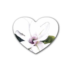 White Magnolia Pencil Drawing Art Heart Coaster (4 Pack)  by picsaspassion