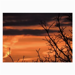 Tree Branches And Sunset Large Glasses Cloth (2-side) by picsaspassion