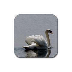 Swimming White Swan Rubber Coaster (square)  by picsaspassion