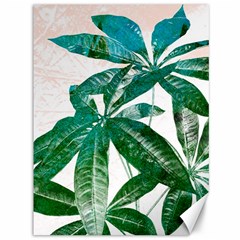 Pachira Leaves  Canvas 36  X 48   by DanaeStudio