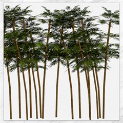 Bamboo Plant Wellness Digital Art Canvas 16  X 16   by Amaryn4rt