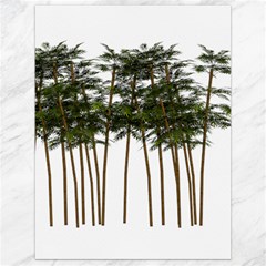 Bamboo Plant Wellness Digital Art Canvas 18  X 24   by Amaryn4rt