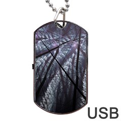 Fractal Art Picture Definition  Fractured Fractal Texture Dog Tag Usb Flash (two Sides) by Simbadda