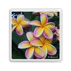 Premier Mix Flower Memory Card Reader (square)  by alohaA