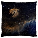 Seagull Nebula Large Flano Cushion Case (Two Sides) Back