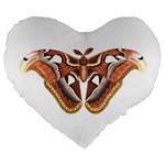 Butterfly Animal Insect Isolated Large 19  Premium Heart Shape Cushions Front