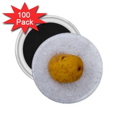Hintergrund Salzkartoffel 2 25  Magnets (100 Pack)  by wsfcow