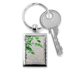Plants Over Wall Key Chains (rectangle)  by dflcprints