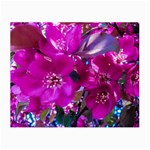 Pretty In Fuchsia Small Glasses Cloth (2-Side) Back