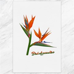Bird Of Paradise Canvas 24  X 36  by Valentinaart