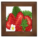 Strawberry Red Seed Leaf Green Framed Tiles Front