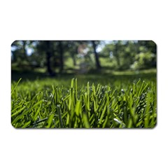 Green Grass Field Magnet (rectangular) by paulaoliveiradesign