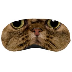Cute Persian Catface In Closeup Sleeping Masks by BangZart