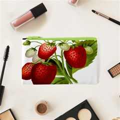 Food Fruit Leaf Leafy Leaves Cosmetic Bag (xs) by Nexatart