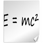 E=mc2 gravity formula physics Canvas 20  x 24   19.57 x23.15  Canvas - 1