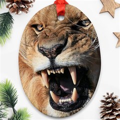 Male Lion Angry Oval Ornament (two Sides) by Celenk