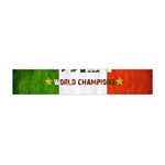 Football World Cup Flano Scarf (Mini) Back