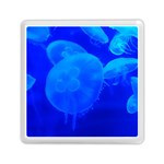 BLUE JELLYFISH 1 Memory Card Reader (Square)  Front