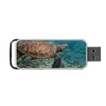 SEA TURTLE 3 Portable USB Flash (One Side) Front