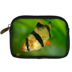 Tiger Barb Digital Camera Cases by trendistuff