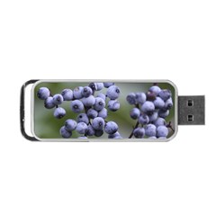 Blueberries 2 Portable Usb Flash (one Side) by trendistuff