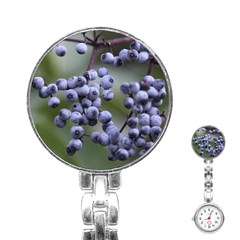 Blueberries 2 Stainless Steel Nurses Watch by trendistuff
