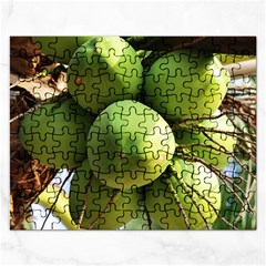 Coconuts 1 Rectangular Jigsaw Puzzl by trendistuff