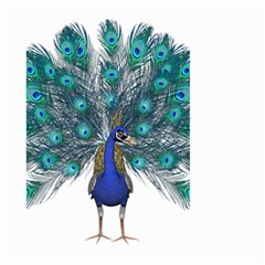 Peacock Bird Peacock Feathers Large Garden Flag (two Sides) by Sapixe