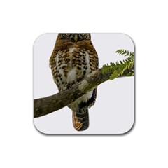 Owl Bird Rubber Coaster (square)  by Sapixe