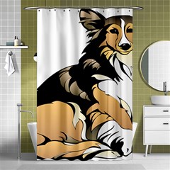 Dog Sitting Pet Collie Animal Shower Curtain 48  X 72  (small)  by Sapixe