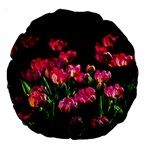 Pink Tulips Dark Background Large 18  Premium Round Cushions Front