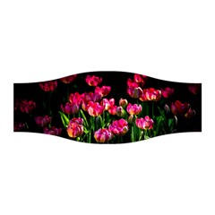 Pink Tulips Dark Background Stretchable Headband by FunnyCow