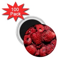 Red Raspberries 1 75  Magnets (100 Pack)  by FunnyCow